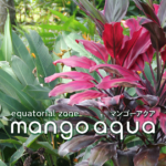 マンゴーアクアOGP