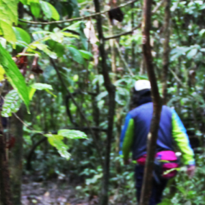 マンゴーアクアプロフィール写真